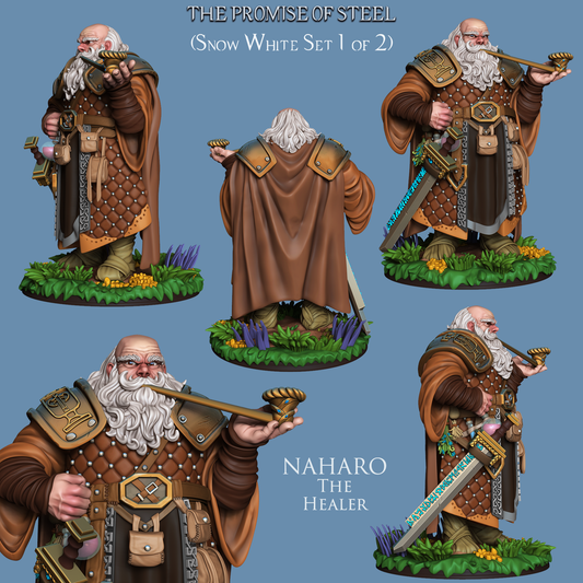 Dwarf Naharo The Healer  |RaW Fan Art| Garage Kit | Unpainted