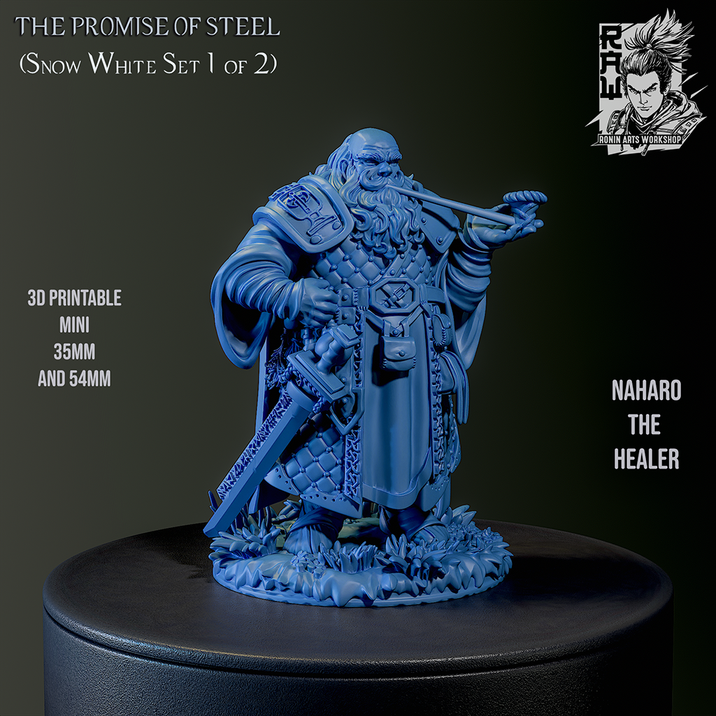 Dwarf Naharo The Healer  |RaW Fan Art| Garage Kit | Unpainted